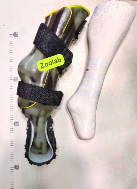 Протезы для собак ZooLab