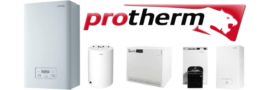 Ремонт котлов Protherm МЕДВЕДЬ 18 KKS