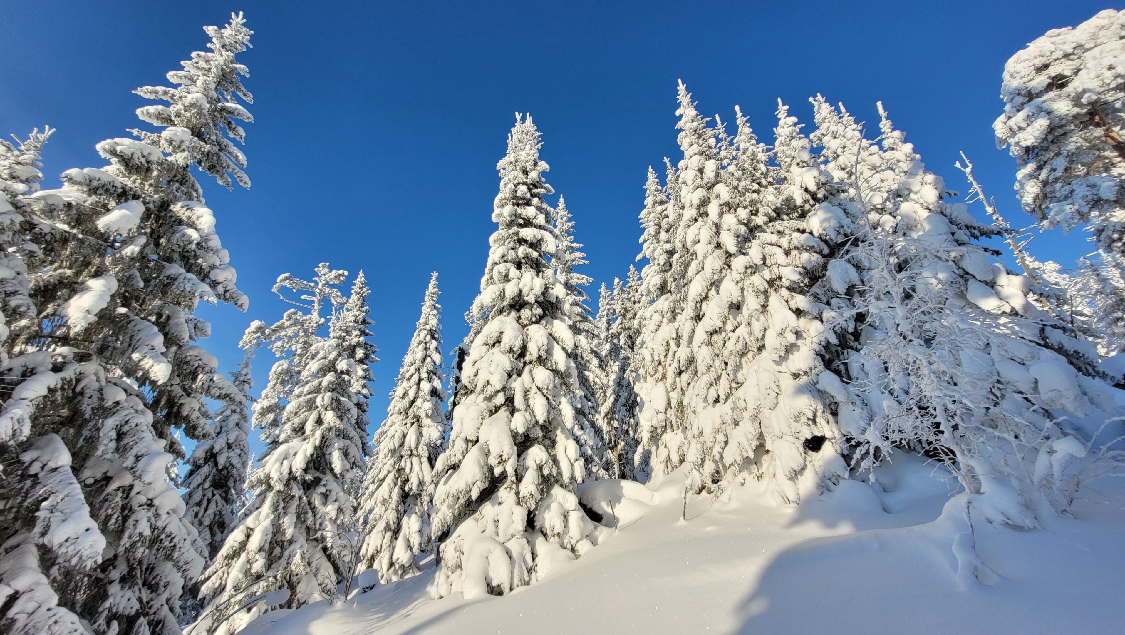 Путешествие в Висимский заповедник