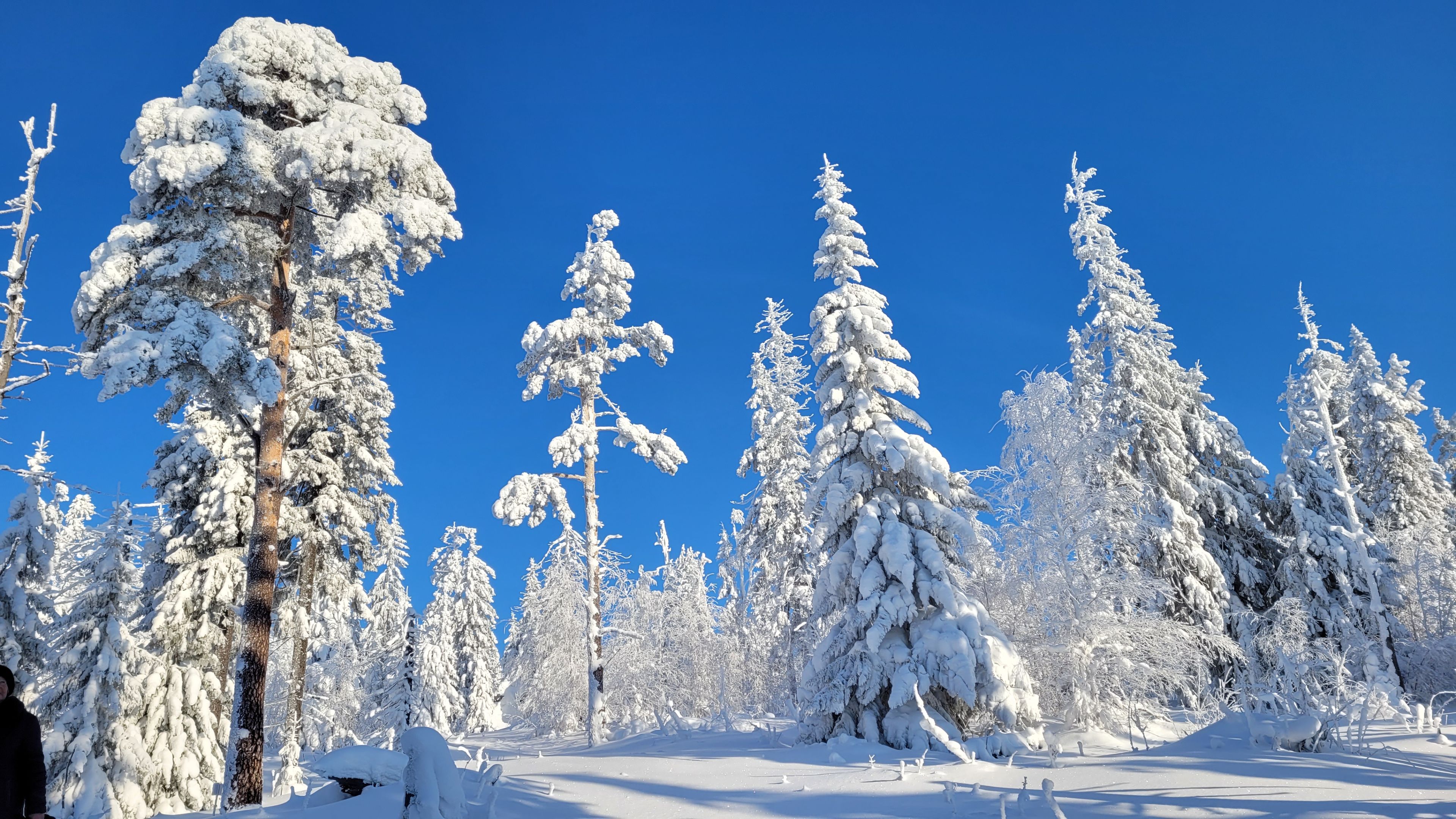 Путешествие в Висимский заповедник