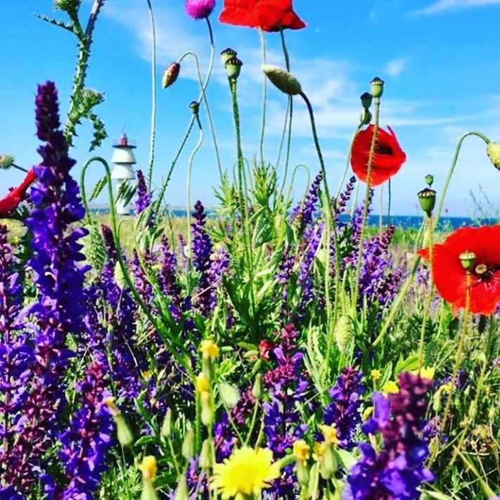 гостевой дом "Венеция"