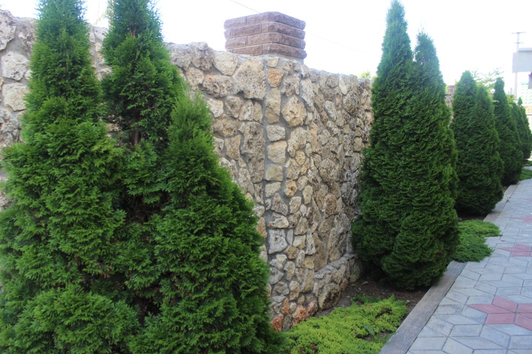 гостевой дом "Венеция"