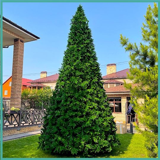 Елка Версальская