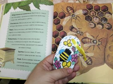 Нажмите, чтобы отредактировать изображение