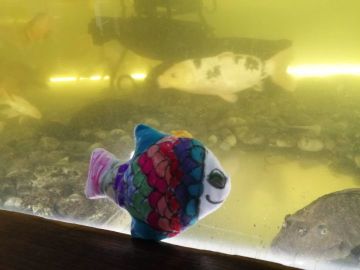 Нажмите, чтобы отредактировать изображение