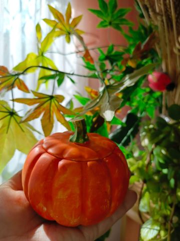 Нажмите, чтобы отредактировать изображение