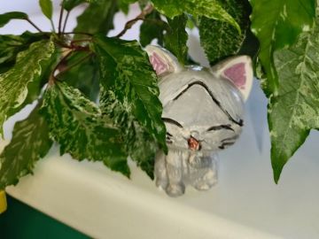 Нажмите, чтобы отредактировать изображение