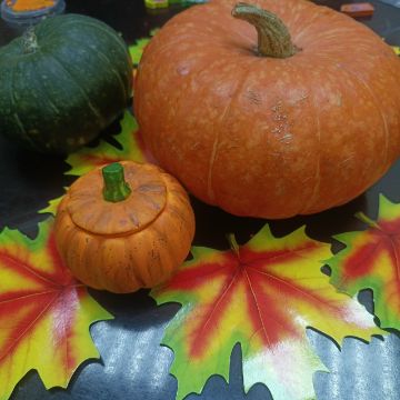 Нажмите, чтобы отредактировать изображение