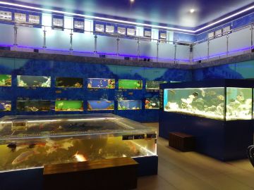 Нажмите, чтобы отредактировать изображение