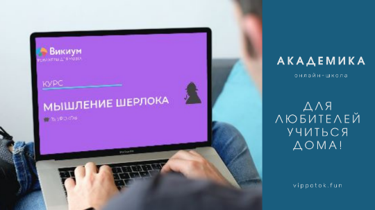 Каталог курсов Школа "Академика"