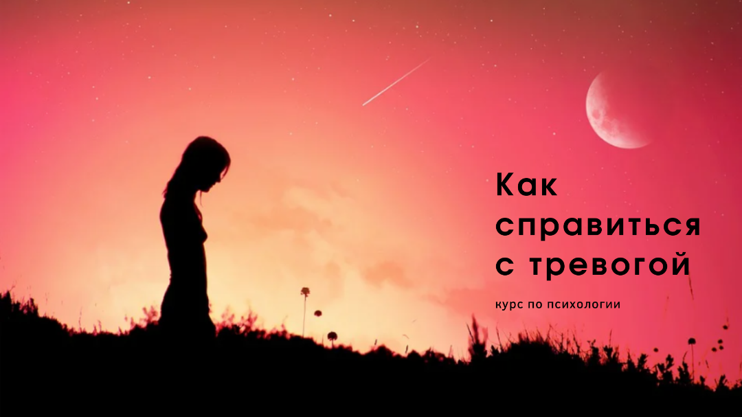 Каталог курсов Школа "Академика"