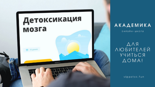 Каталог курсов Школа "Академика"