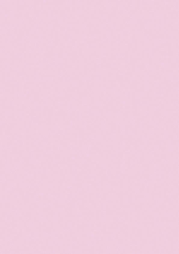 S233 Pink Leia