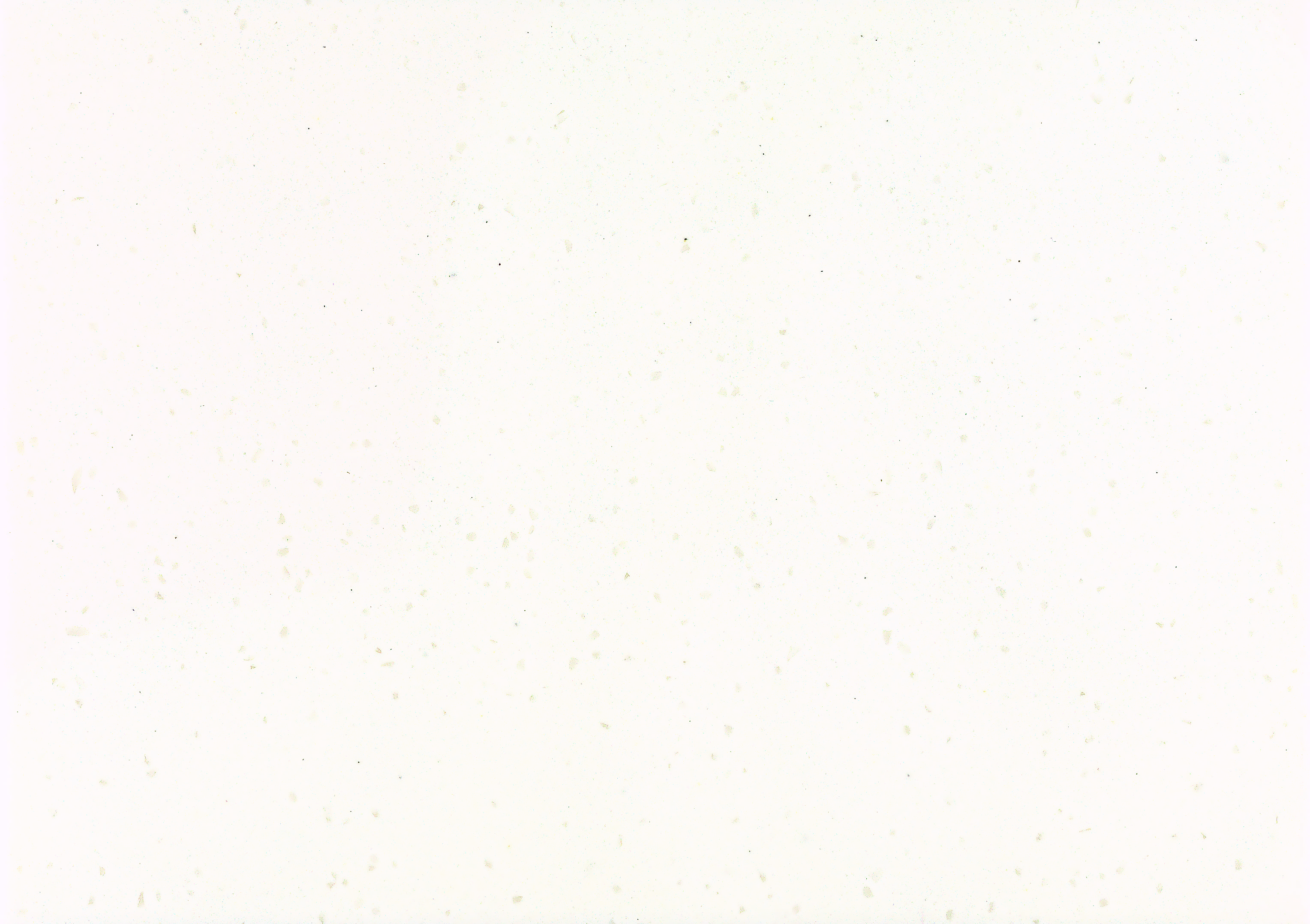 G235 Candy White