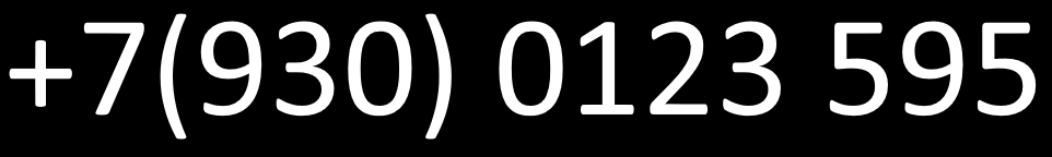 +79300123595