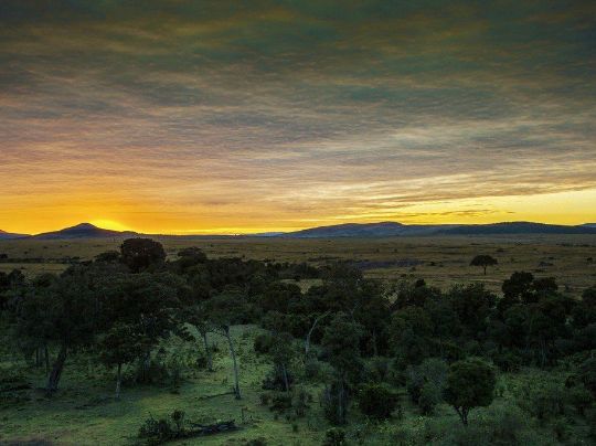 Путешествие в Масай Мара