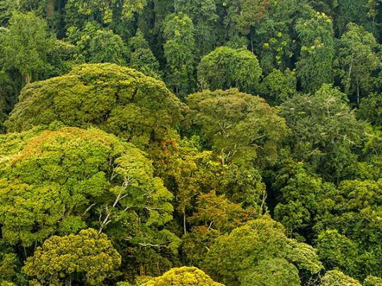 Тур в парк Нюнгве