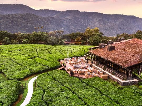 Тур в Национальный парк Нюнгве