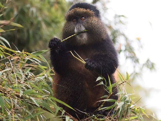 Озера близнецы Бурера и Рухонда