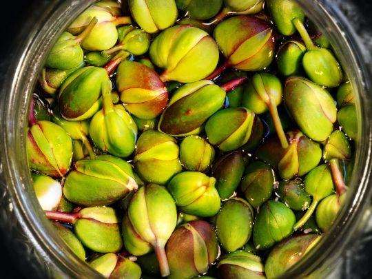 Тур на Салина Эолийские острова Италия