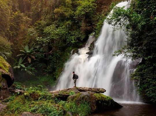 Тур в джунгли Лаоса