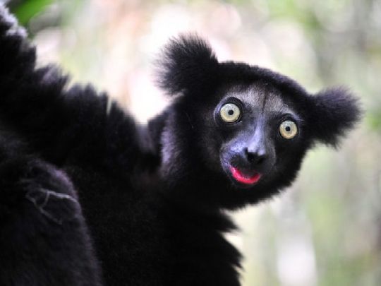 Отдых на побережье Нози Комба