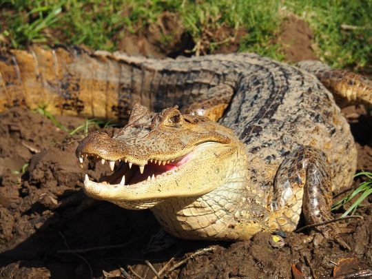 Тур в Каньо Негро