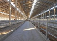 модернизация животноводческих комплексов