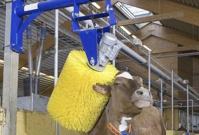 щетка-чесалка для коров