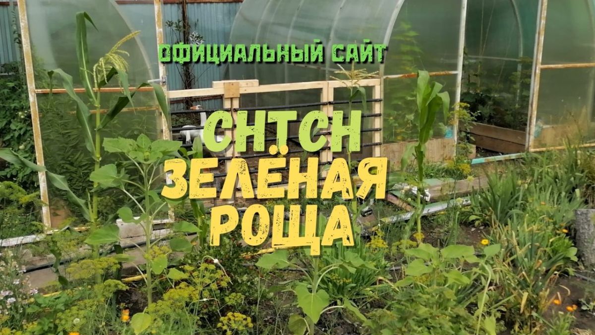 Снт зеленый город