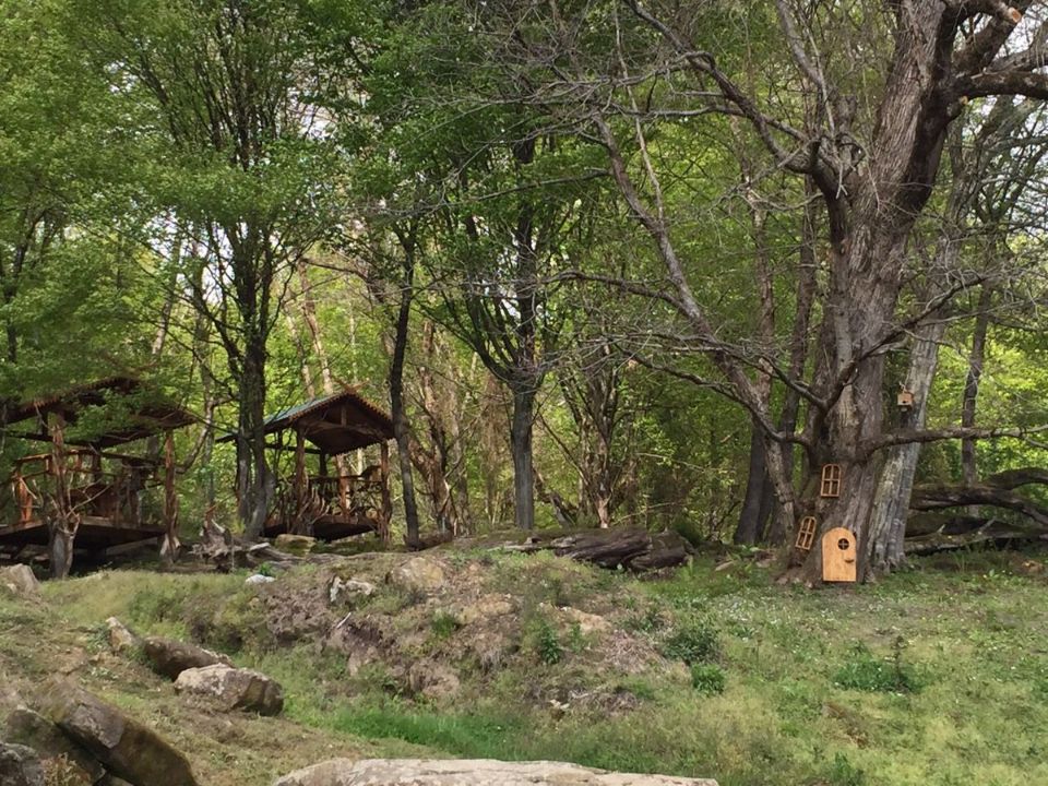 Лесные беседки с мангалами в аренду