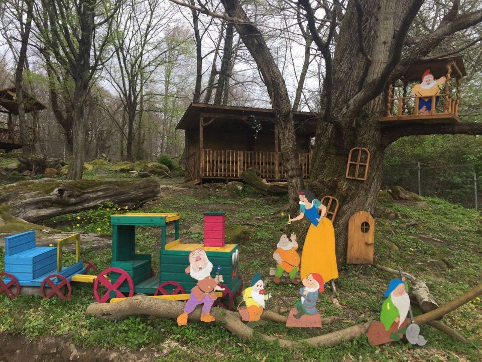 Детский день рождения на природе