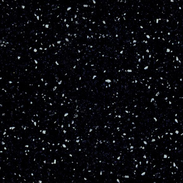 G047 BLACK BIRD