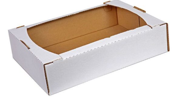 Лоток кондитерский 250х180х80