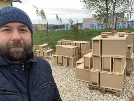 Пчелопакеты и матки