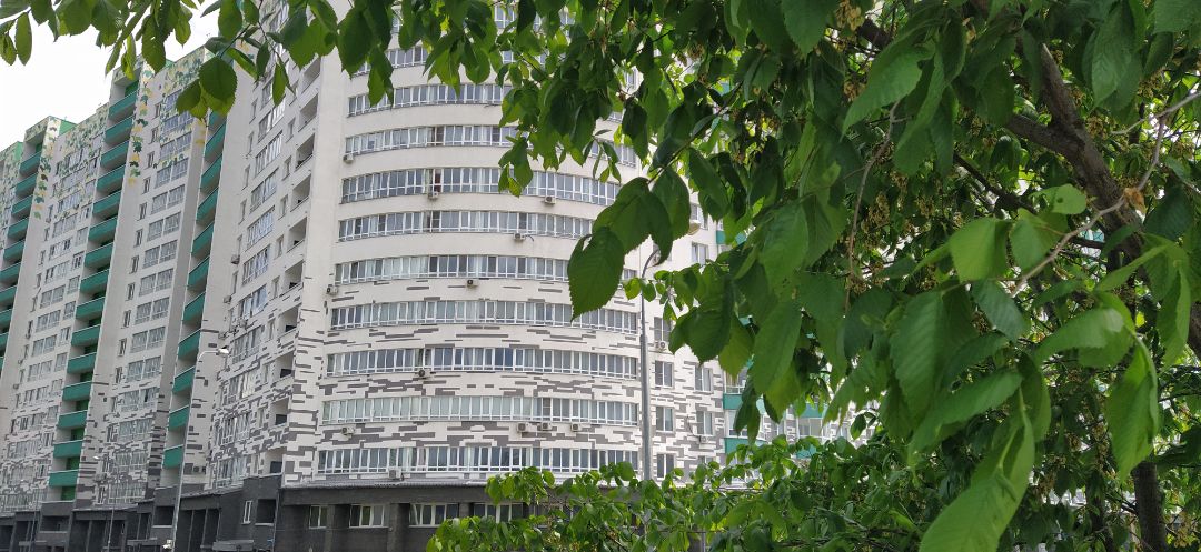 Дом за Лентой Монолит.Зимнее фото