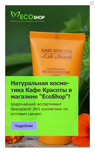 экошоп кейс