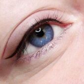 теория курса веки