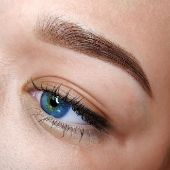 теория курса пудровые брови