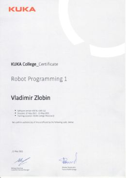 Сертификат прохождения курса "Программирование"