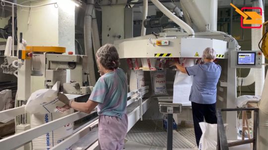 мешкопогрузчик жд вагонов