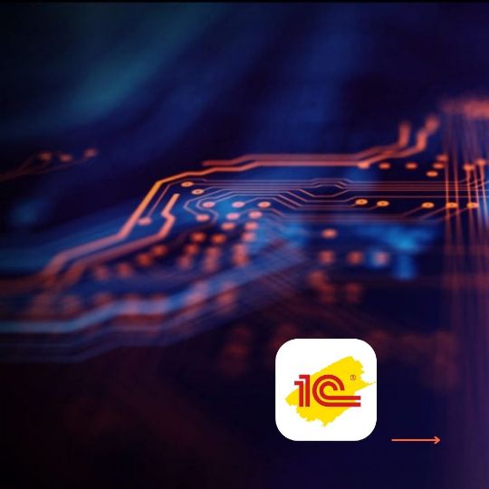 Внедрение и сопровождение ПО