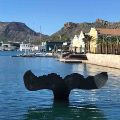 Whale Tail Cartagena