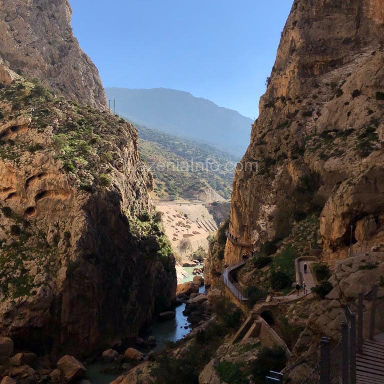 These are the first steps