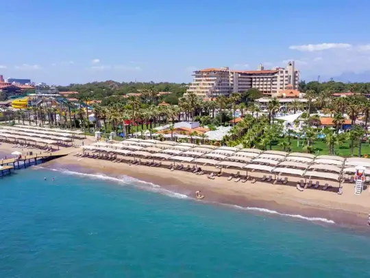 Беллис Делюкс