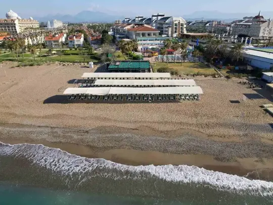 Кловер Мэджик