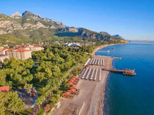 Акка Антедон