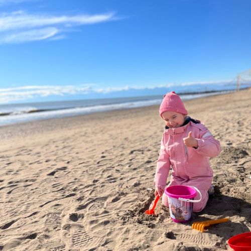 сусеси сквош