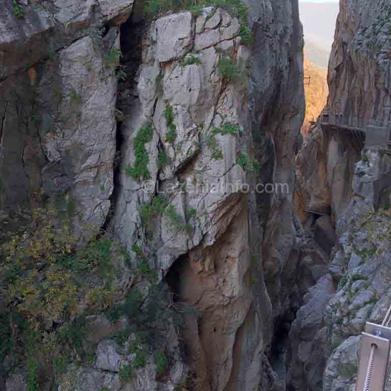 The beginning of the king's path