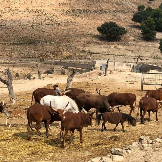 Парк Айтана